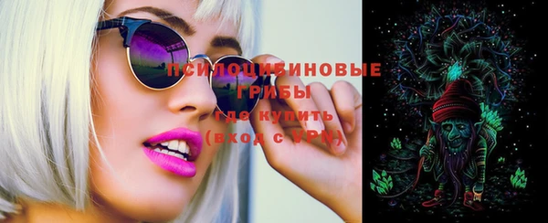 спиды Вяземский