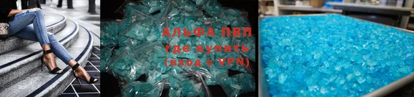 спиды Вяземский