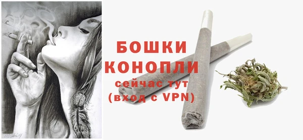 спиды Вяземский