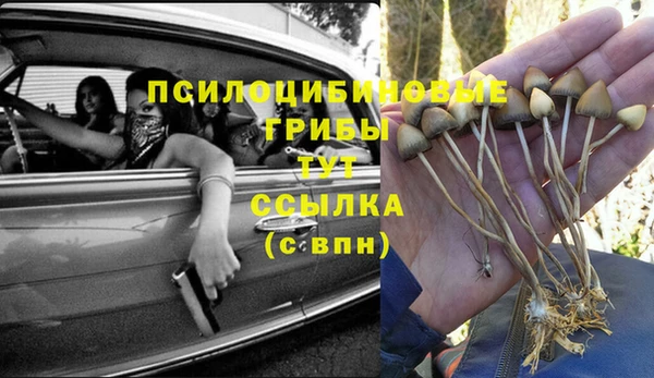ALPHA PVP Вязники