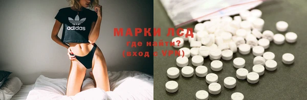 спиды Вяземский