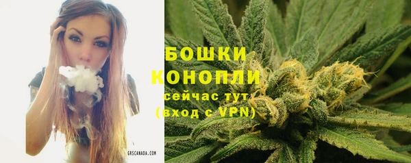спиды Вяземский