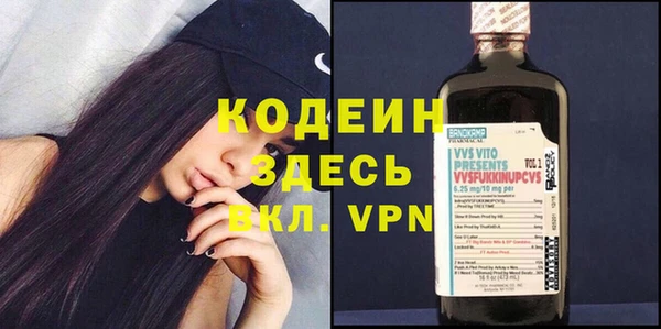 спиды Вяземский