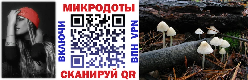 Галлюциногенные грибы мицелий  Купить  Мураши 
