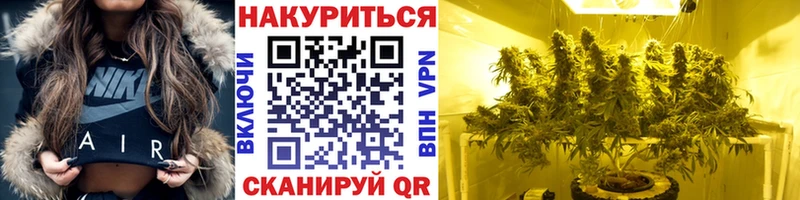 Бошки марихуана Bruce Banner  Купить закладки  Мураши 